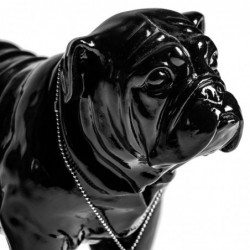 Bulldog Negro